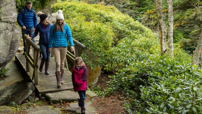 A group of four people in outdoor winter clothing walk across a small wooden bridge on a woodland path surrounded by rocks, shrubs and evergreen trees. A child in a bright pink jacket leads the way along the path, with three adults following behind through the lush green landscape.